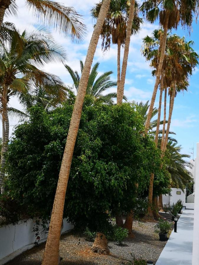 Estrella De Mar Appartement Tarajalejo Buitenkant foto